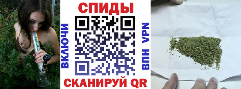 БУТИРАТ BDO 33%  Купить где  Кувандык 