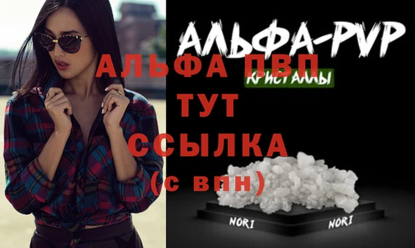 шишки Кукмор