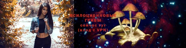 дживик Кулебаки