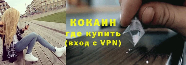 шишки Кукмор