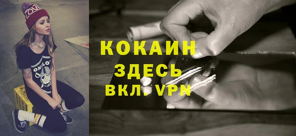 шишки Кукмор