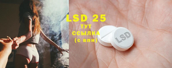 шишки Кукмор