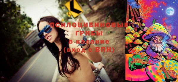 дживик Кулебаки