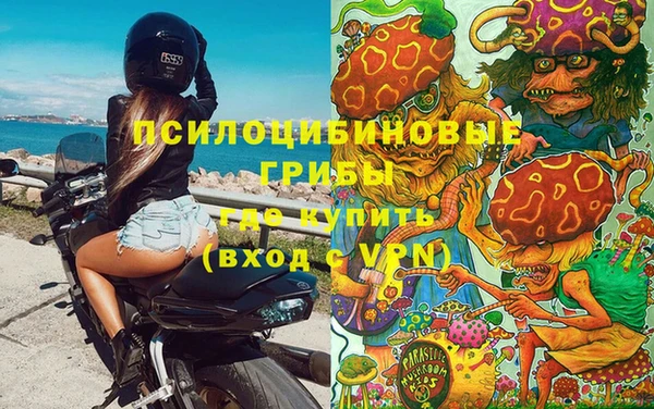 шишки Кукмор