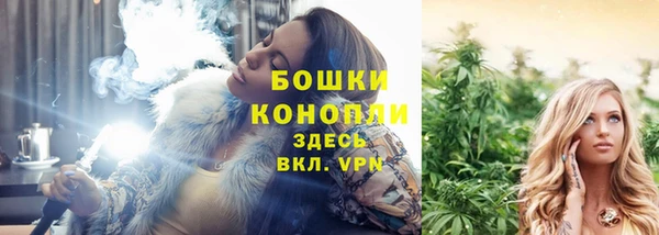 шишки Кукмор